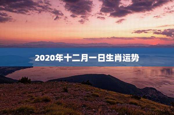 2020年十二月一日生肖运势