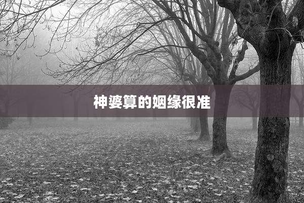 神婆算的姻缘很准