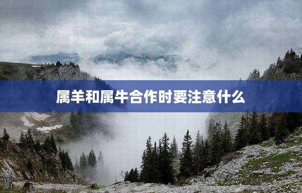 属羊和属牛合作时要注意什么