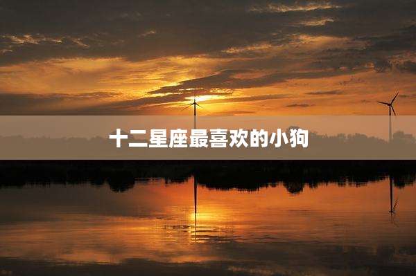 十二星座最喜欢的小狗