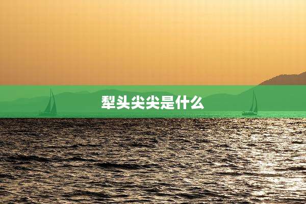 犁头尖尖是什么
