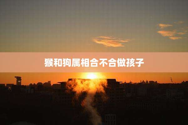 猴和狗属相合不合做孩子