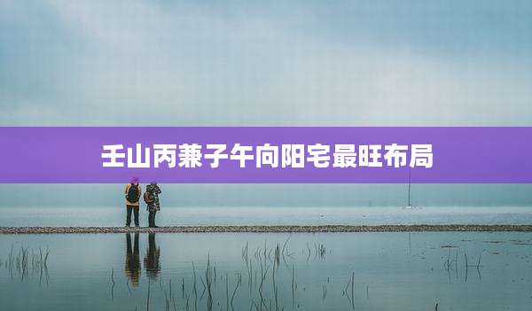 壬山丙兼子午向阳宅最旺布局