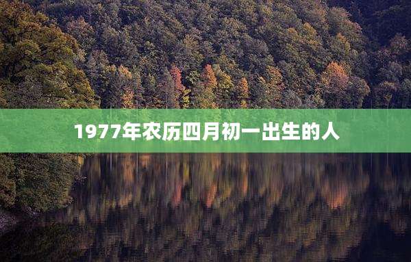 1977年农历四月初一出生的人