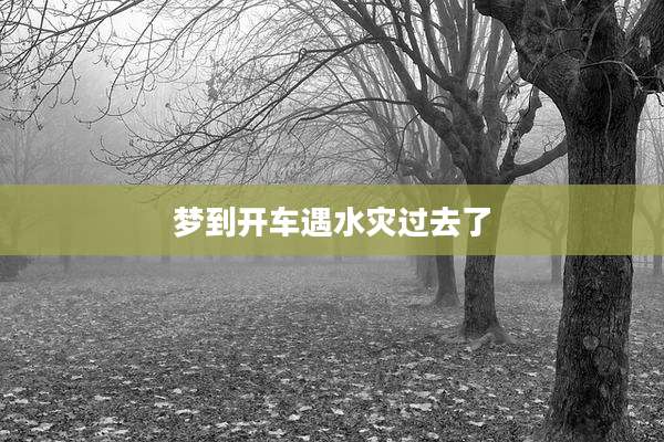 梦到开车遇水灾过去了