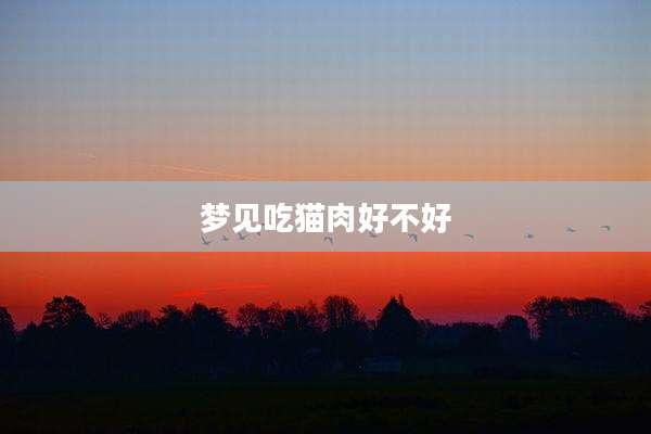 梦见吃猫肉好不好
