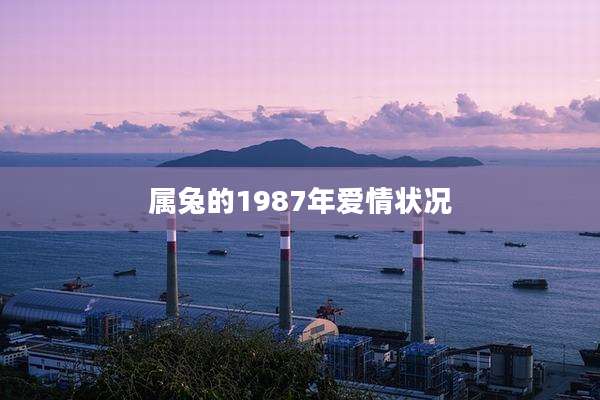 属兔的1987年爱情状况