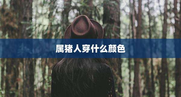 属猪人穿什么颜色