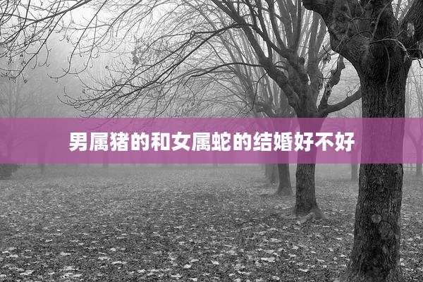 男属猪的和女属蛇的结婚好不好
