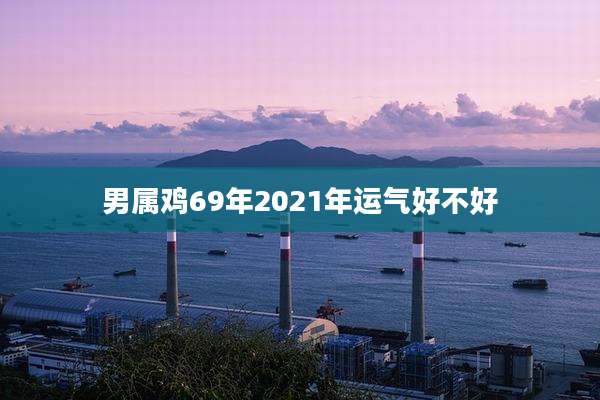 男属鸡69年2021年运气好不好