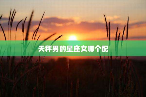 天秤男的星座女哪个配