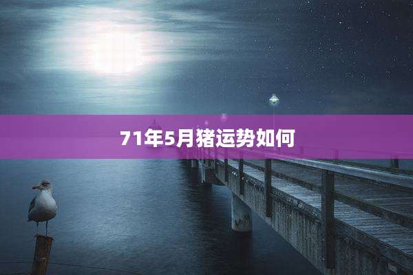 71年5月猪运势如何