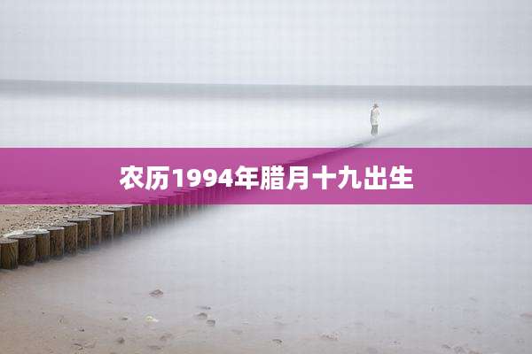农历1994年腊月十九出生