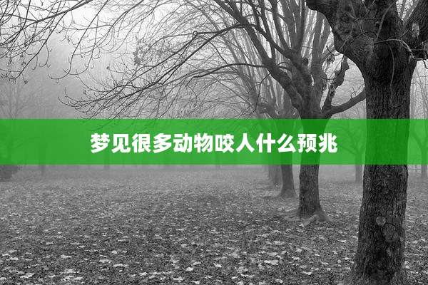 梦见很多动物咬人什么预兆