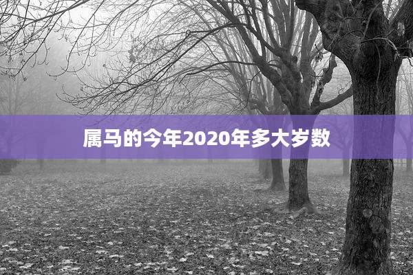 属马的今年2020年多大岁数