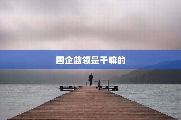 国企蓝领是干嘛的