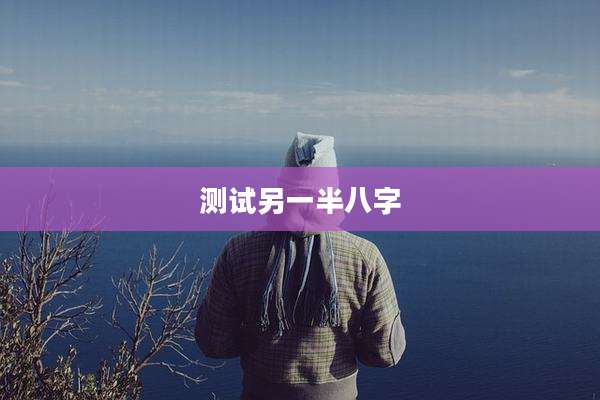 测试另一半八字