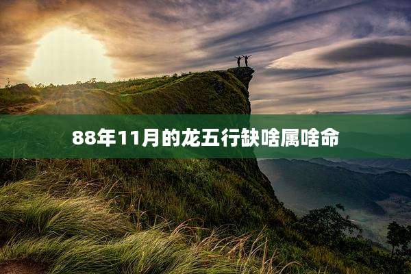 88年11月的龙五行缺啥属啥命