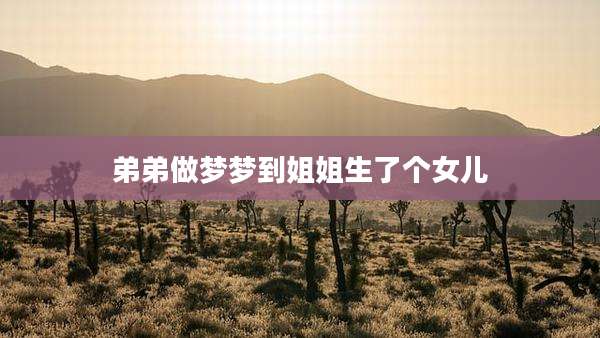 弟弟做梦梦到姐姐生了个女儿