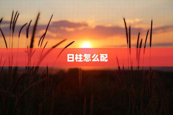 日柱怎么配