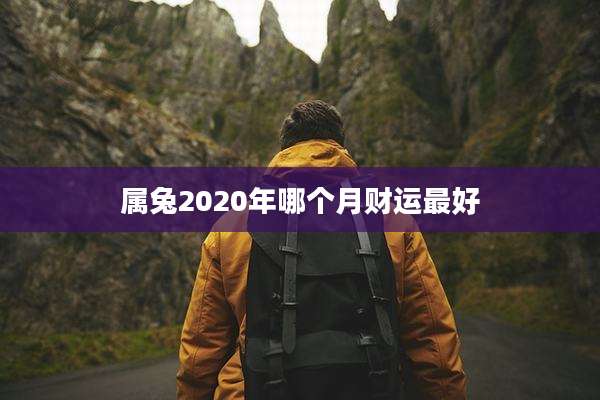 属兔2020年哪个月财运最好