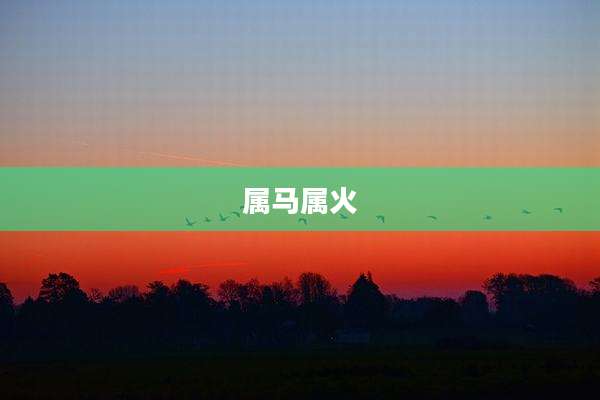 属马属火