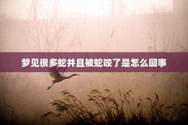 梦见很多蛇并且被蛇咬了是怎么回事