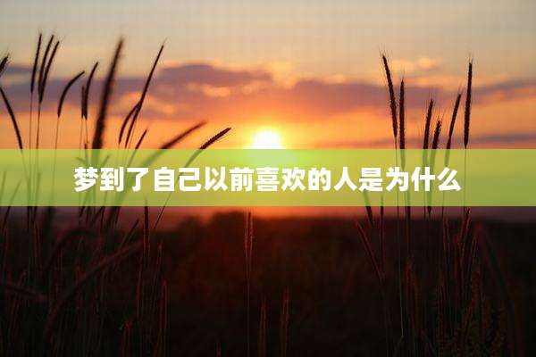 梦到了自己以前喜欢的人是为什么