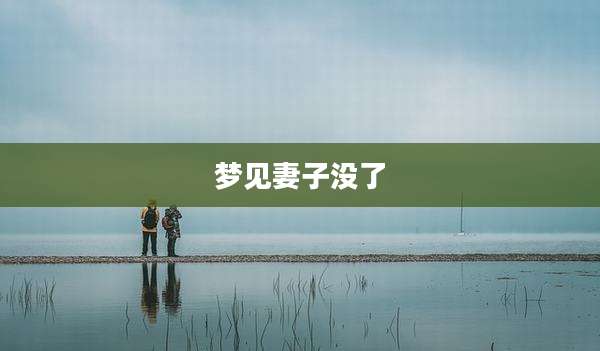 梦见妻子没了