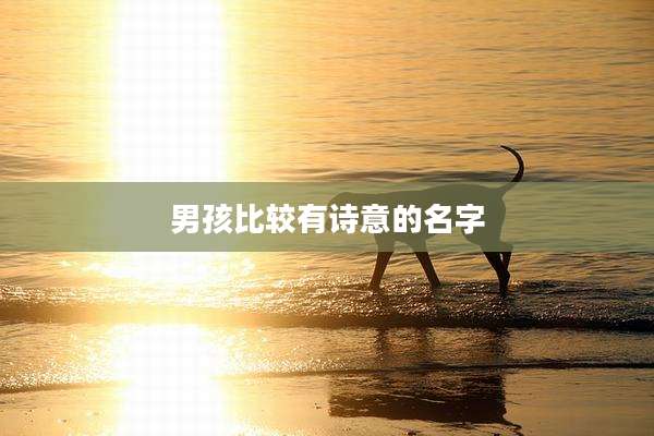 男孩比较有诗意的名字