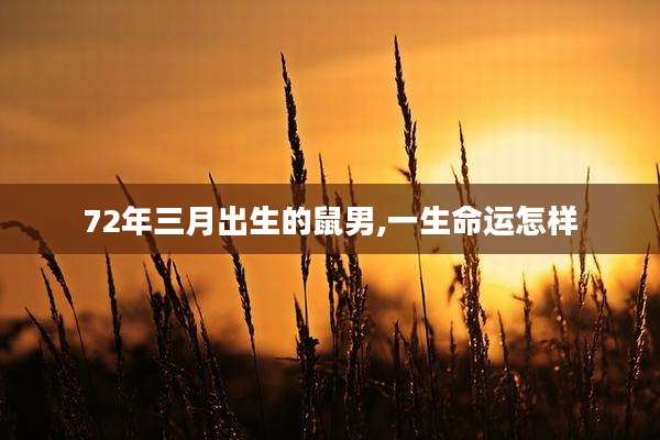 72年三月出生的鼠男,一生命运怎样