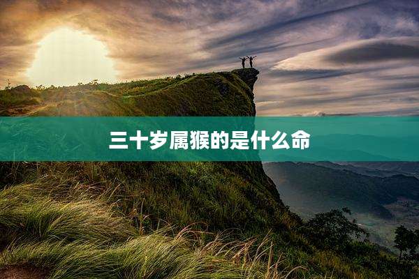 三十岁属猴的是什么命