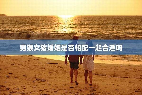 男猴女猪婚姻是否相配一起合适吗