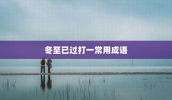冬至已过打一常用成语