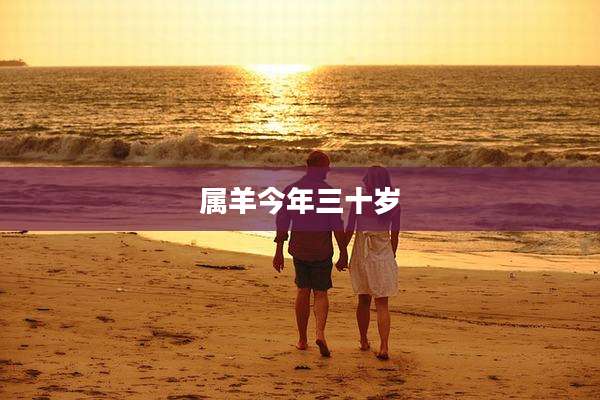 属羊今年三十岁