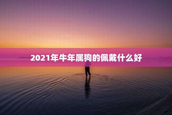 2021年牛年属狗的佩戴什么好