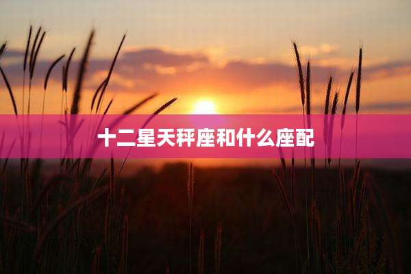 十二星天秤座和什么座配