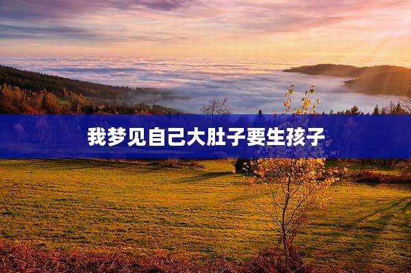 我梦见自己大肚子要生孩子