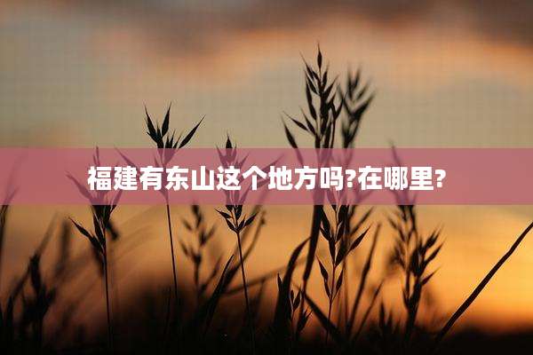 福建有东山这个地方吗?在哪里?