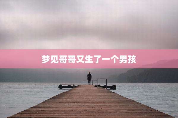 梦见哥哥又生了一个男孩