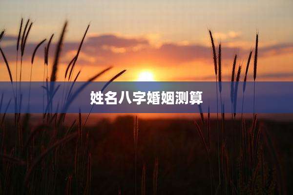 姓名八字婚姻测算