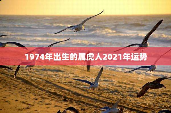 1974年出生的属虎人2021年运势