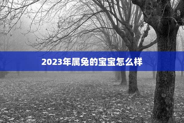 2023年属兔的宝宝怎么样