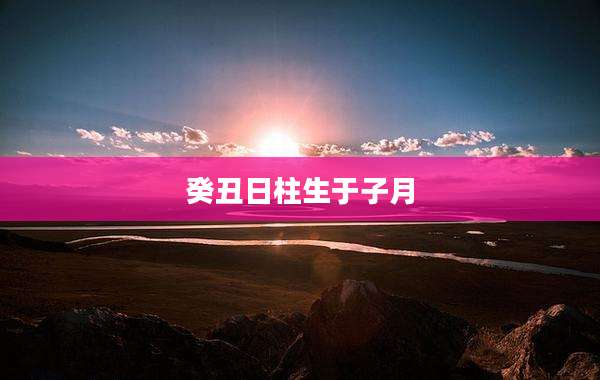 癸丑日柱生于子月