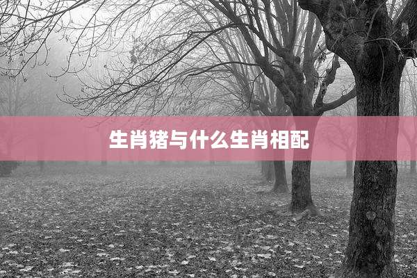 生肖猪与什么生肖相配