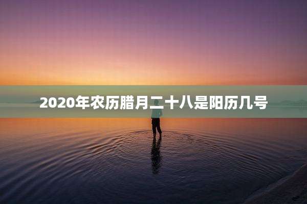 2020年农历腊月二十八是阳历几号