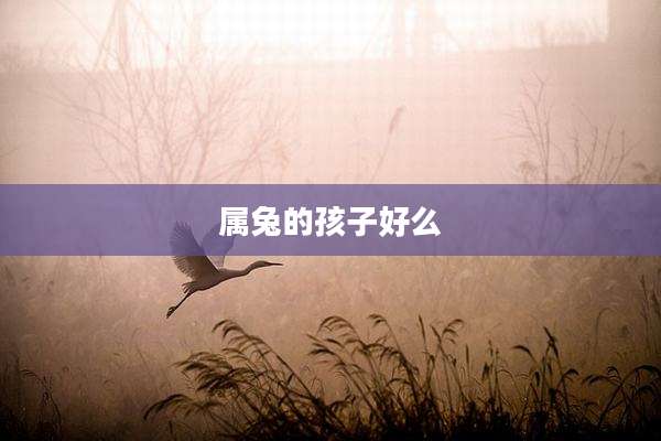 属兔的孩子好么