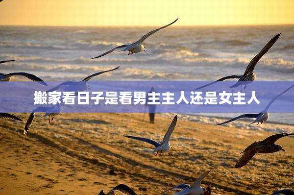 搬家看日子是看男主主人还是女主人