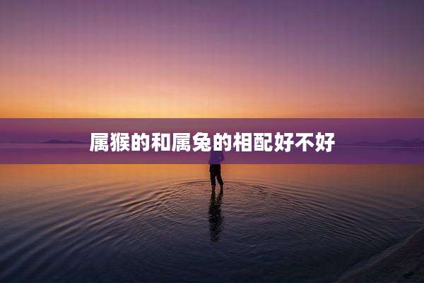 属猴的和属兔的相配好不好