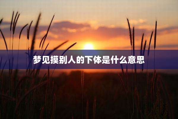 梦见摸别人的***是什么意思
